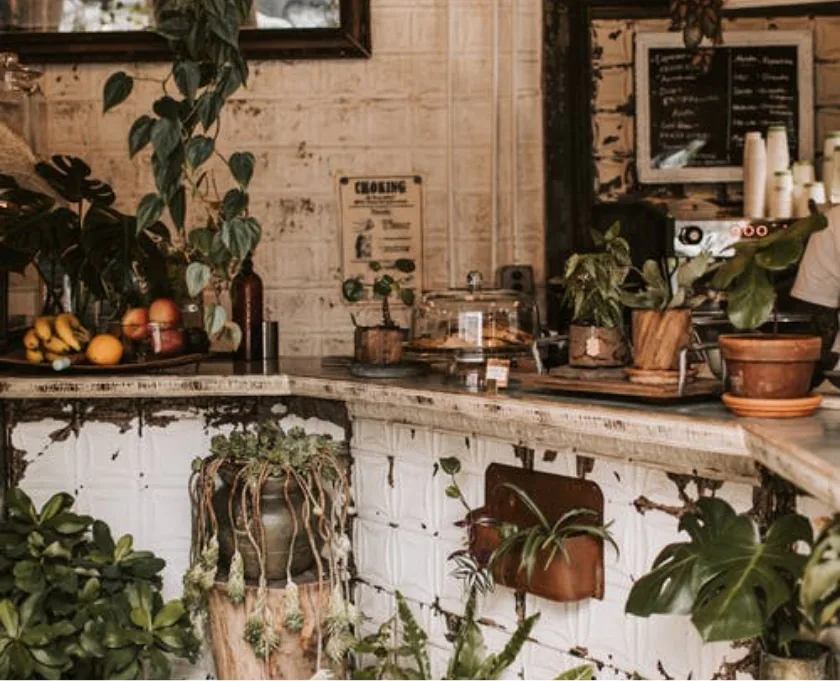 post-img-2_optimized